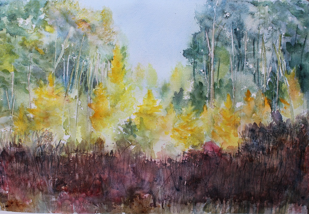 Autumn Tamaracks